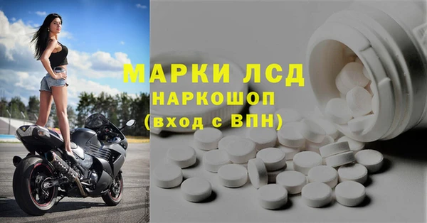 СК Алзамай
