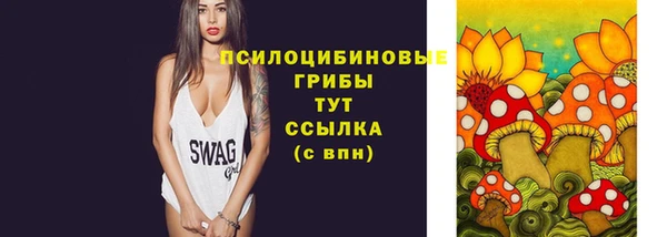 шишки Алексеевка