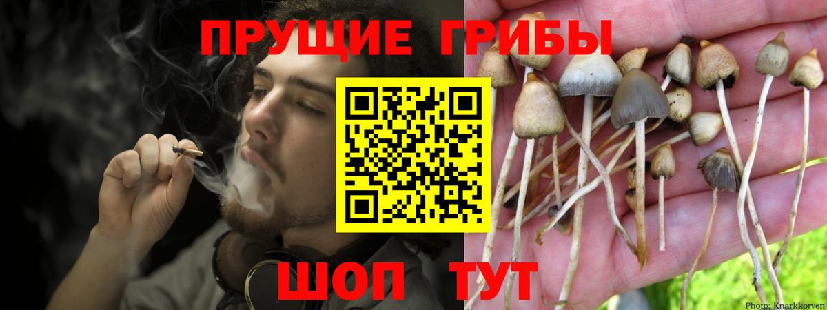 Псилоцибиновые грибы Magic Shrooms Мытищи